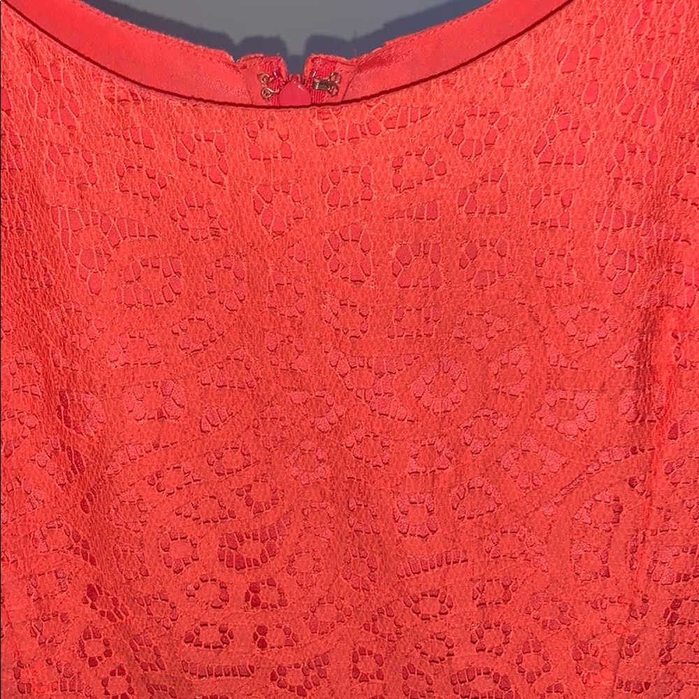 JCREW Lace Dress - Picture 3 of 5